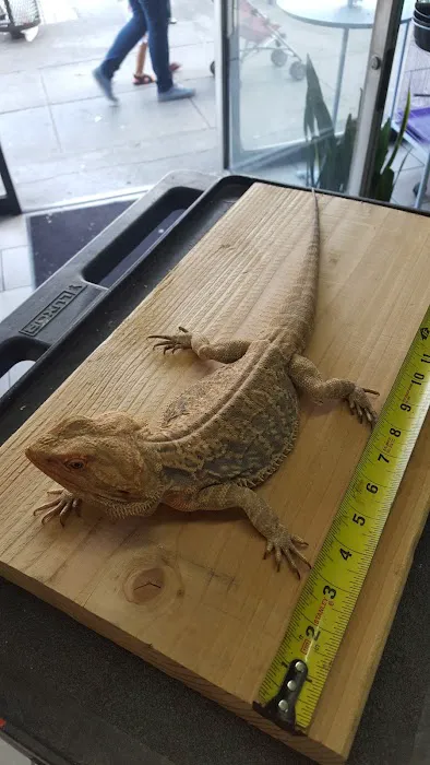 Pete’s Pet Supply Picture 3