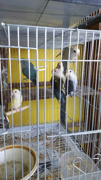 Pete’s Pet Supply Picture 8