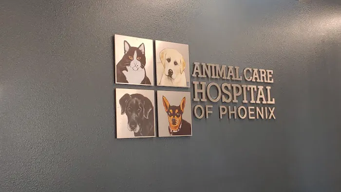 Animal Care Hospital: Temple Tara-Lynn DVM Picture 1