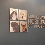 Animal Care Hospital: Temple Tara-Lynn DVM