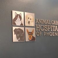 Animal Care Hospital: Temple Tara-Lynn DVM ico