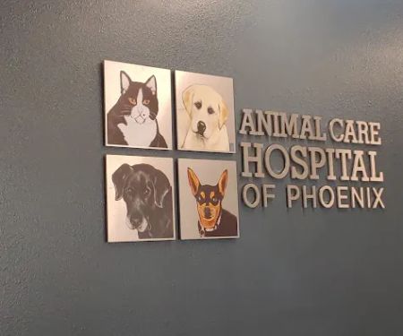 Animal Care Hospital: Temple Tara-Lynn DVM