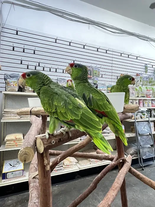 Feathers And Friends Exotics Picture 5