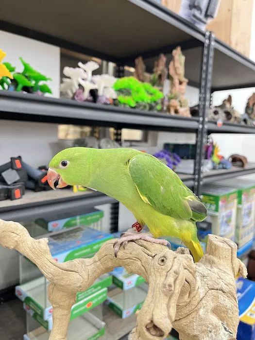 Feathers And Friends Exotics Picture 2