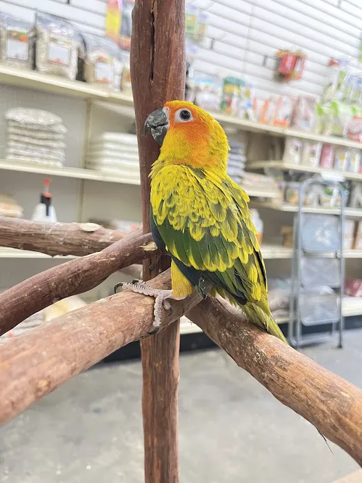 Feathers And Friends Exotics Picture 8