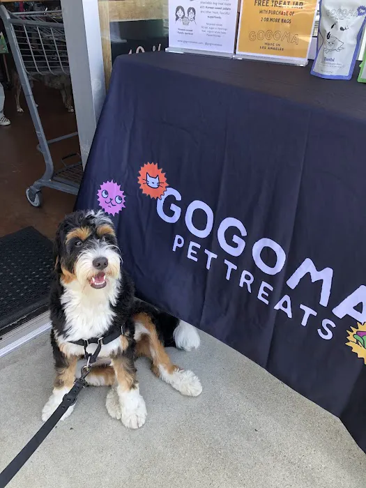 Gogoma Pet Treats Picture 6