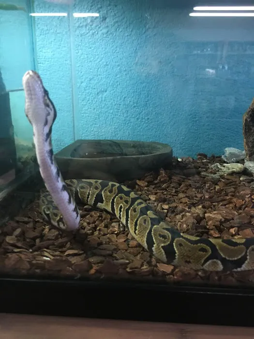Jack's Pet Shop Picture 6