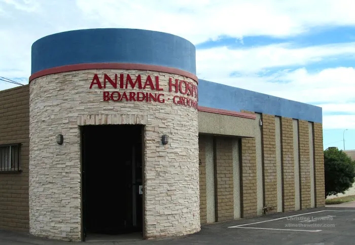 Christown Animal Hospital Picture 4