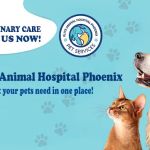 Elite Animal Hospital Phoenix