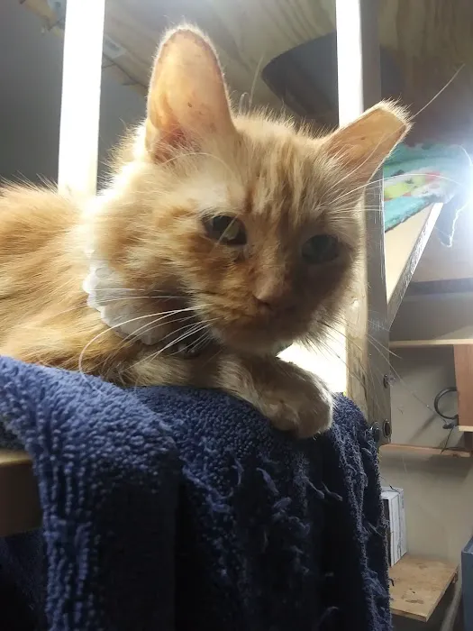 Van Aken Pet Hospital Picture 1