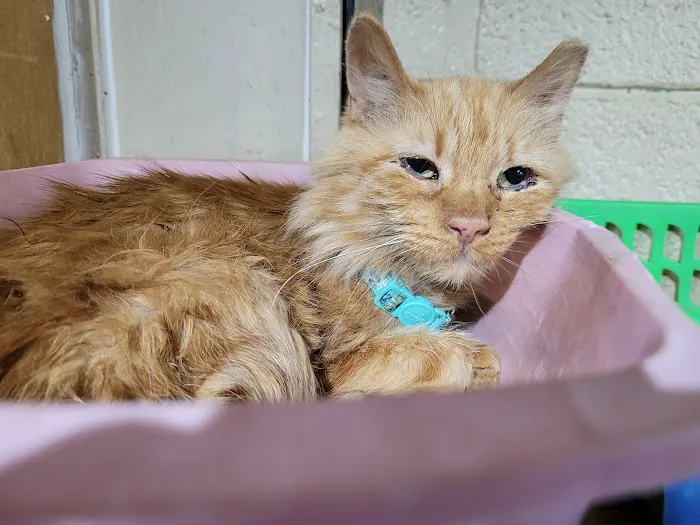 Van Aken Pet Hospital Picture 2