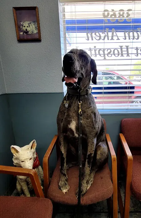 Van Aken Pet Hospital Picture 5