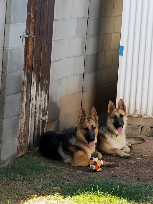 Van Aken Pet Hospital Picture 9