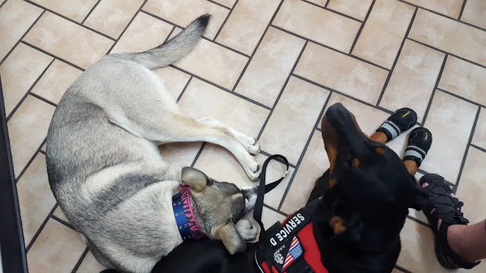 Van Aken Pet Hospital Picture 6