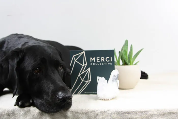 Merci Collective Picture 9