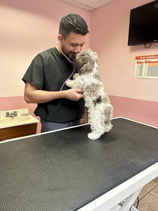 Santis Pet Clinic Picture 3