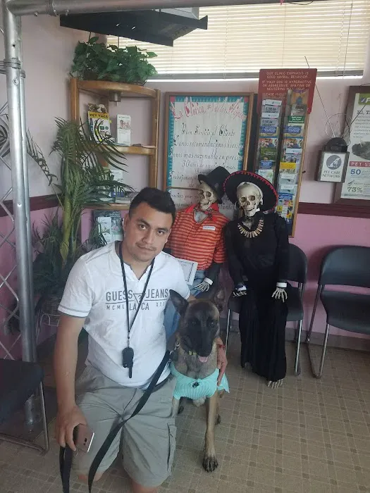 Santis Pet Clinic Picture 4