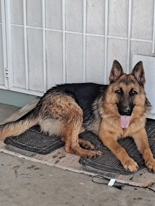Santis Pet Clinic Picture 7