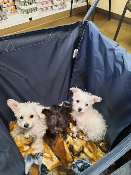 Animal Hospital of Laveen Picture 1