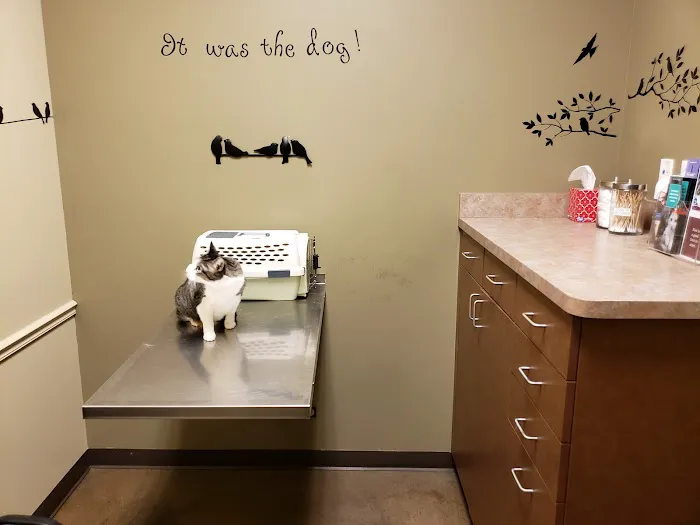 Animal Hospital of Laveen Picture 7