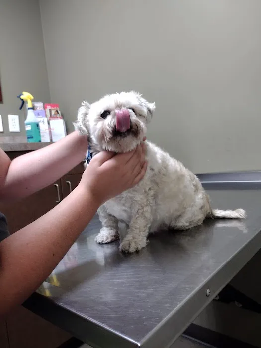 Animal Hospital of Laveen Picture 9