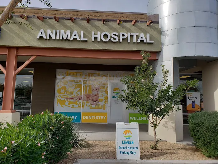 Animal Hospital of Laveen Picture 8