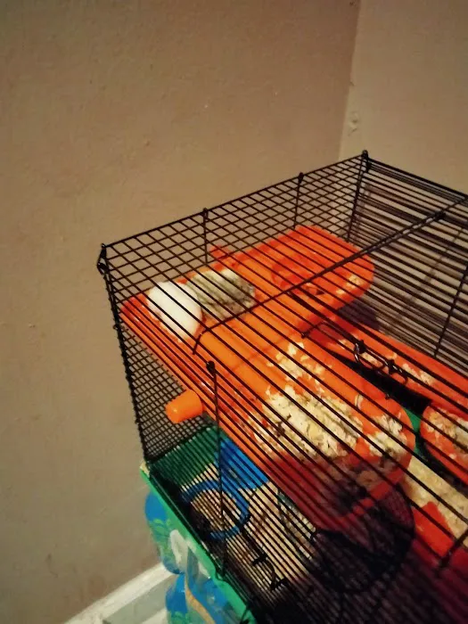 Birdman Pet Shop Picture 9