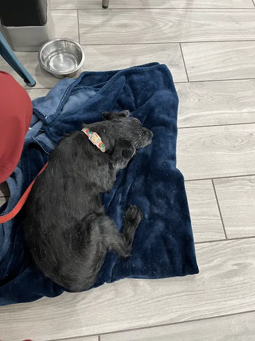 Laveen Veterinary Center Picture 3