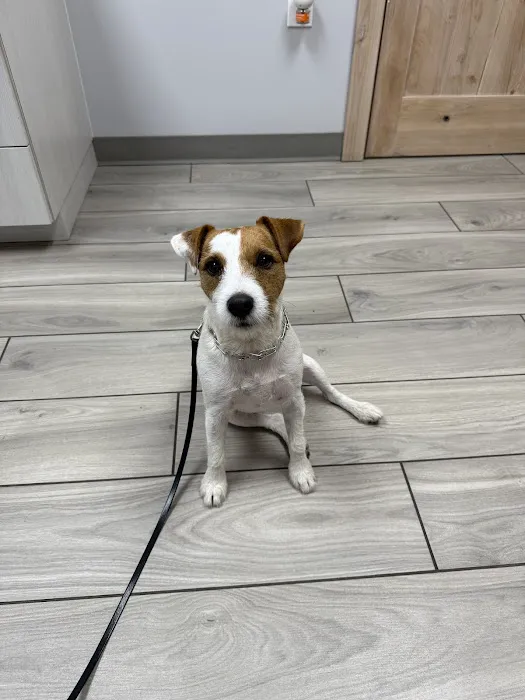 Laveen Veterinary Center Picture 9