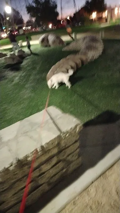 Jurado's Pet Shop Picture 3