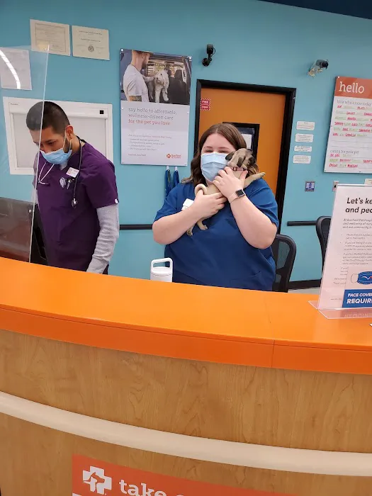 Banfield Pet Hospital Picture 8