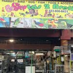 Las Dos Arelis Pet Shop & Exotic Birds