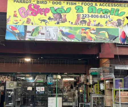 Las Dos Arelis Pet Shop & Exotic Birds