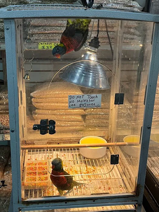 Las Dos Arelis Pet Shop & Exotic Birds Picture 2
