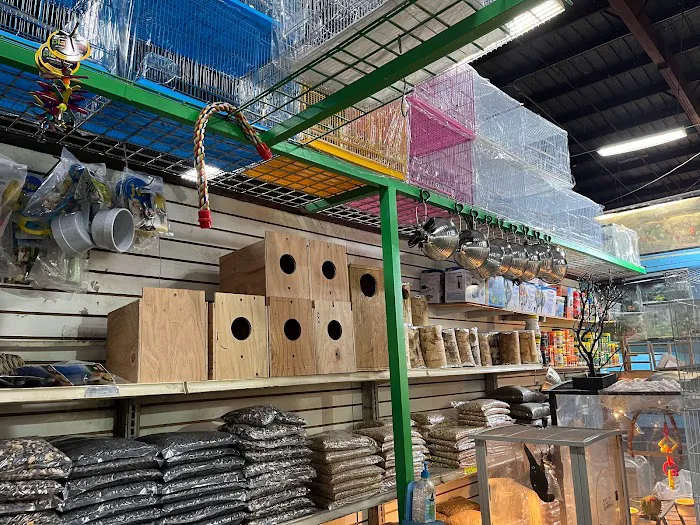 Las Dos Arelis Pet Shop & Exotic Birds Picture 7