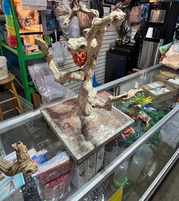 Las Dos Arelis Pet Shop & Exotic Birds Picture 10
