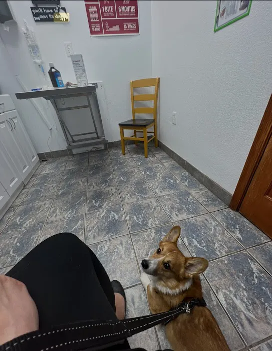 Harmony Veterinary Hospital Picture 4