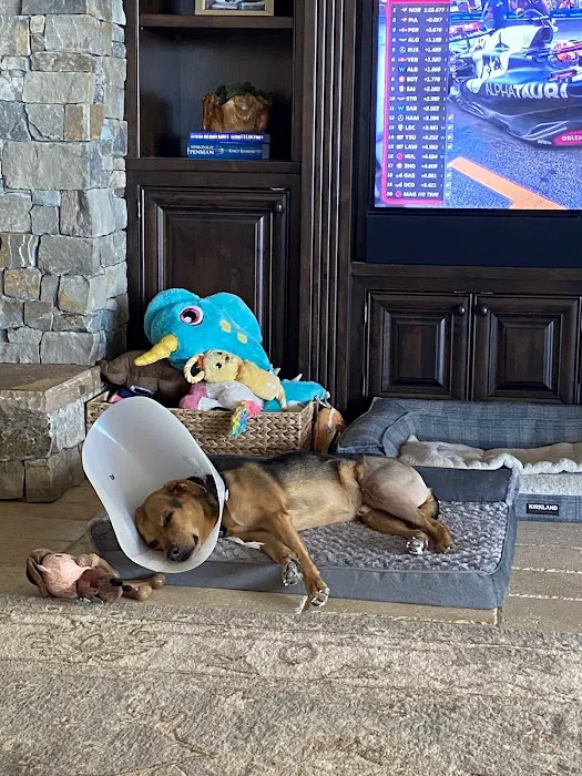Harmony Veterinary Hospital Picture 8