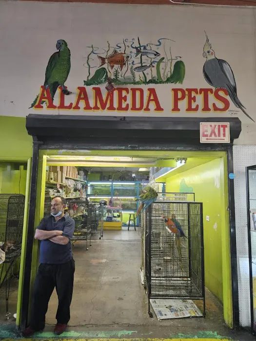 Pet shop Los angelitos Picture 4