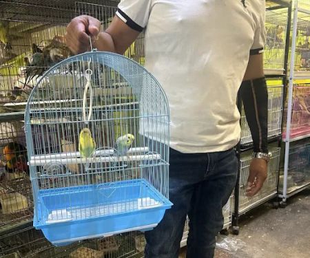 Pet shop Los angelitos