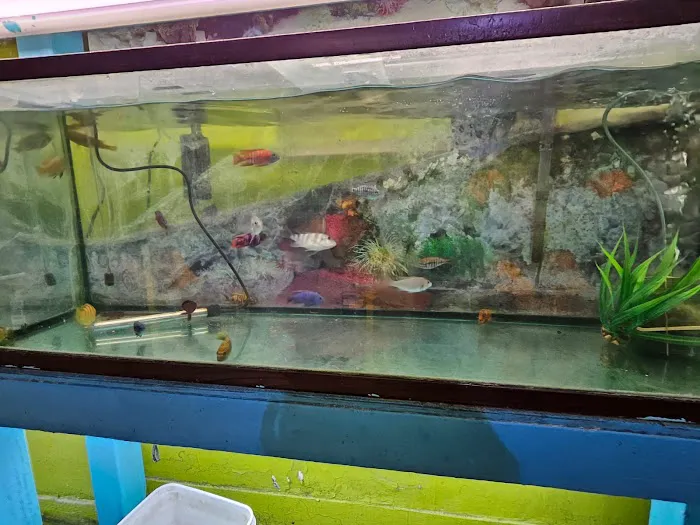 Pet shop Los angelitos Picture 2