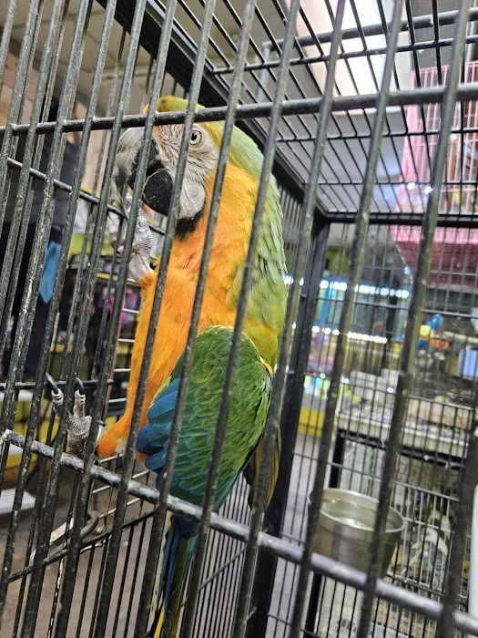 Pet shop Los angelitos Picture 10
