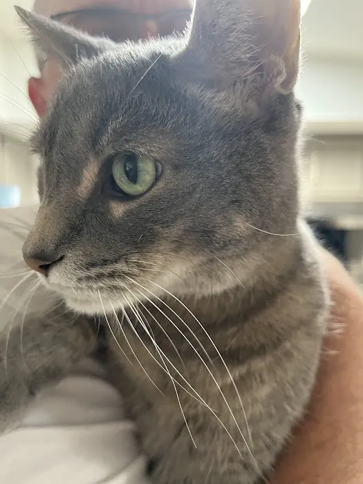 Blue Cross Veterinary Clinic Picture 3