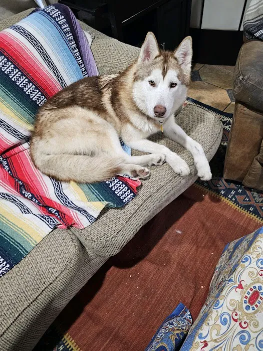 Ramirez Pet Picture 2