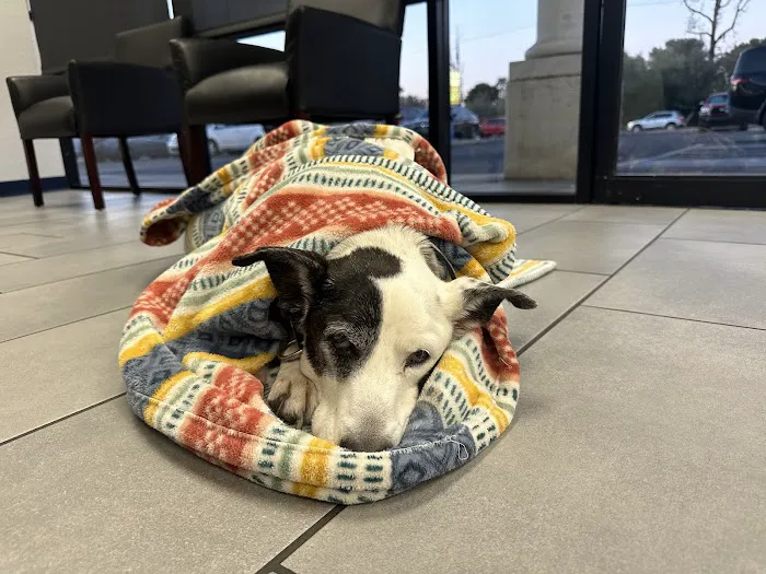 Desert View Animal Hospital Picture 3