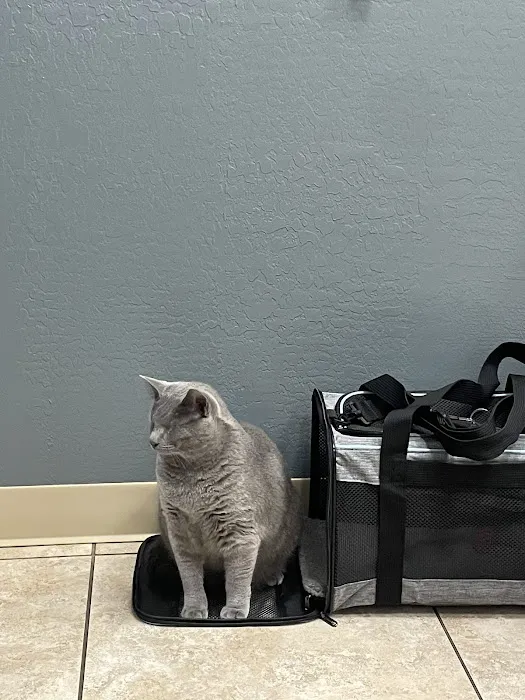 Desert View Animal Hospital Picture 4