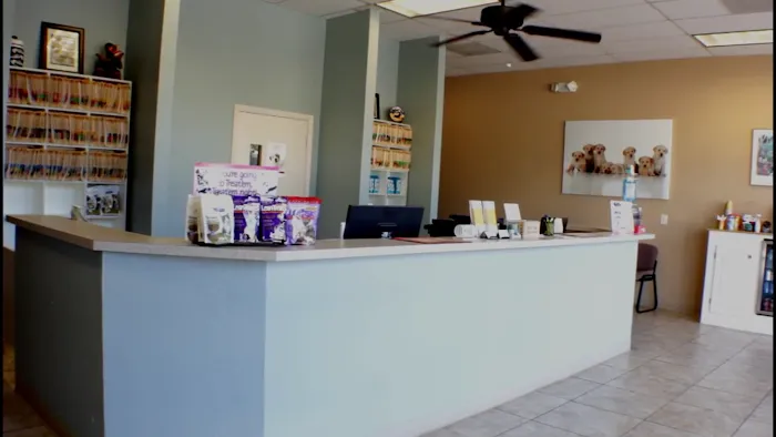 Desert View Animal Hospital Picture 9