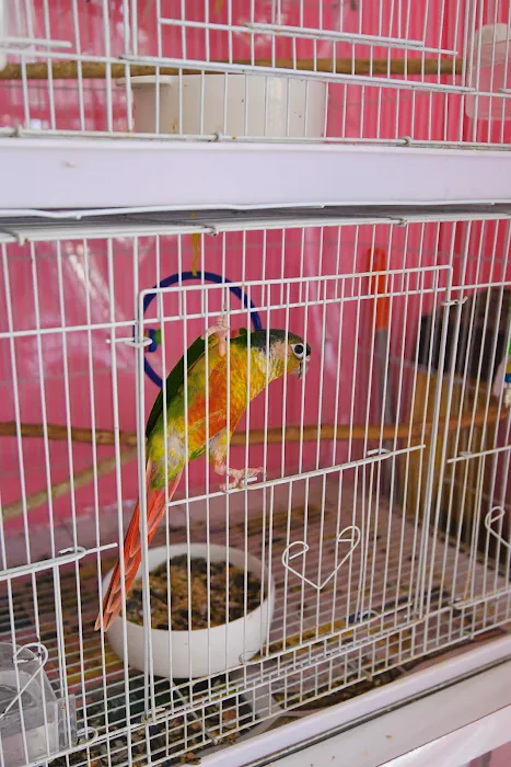 Beverly Pets Picture 3