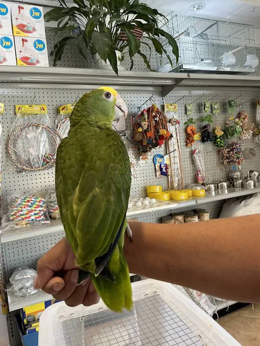 Galeana's Aviary Picture 2