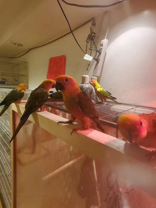 Galeana's Aviary Picture 9